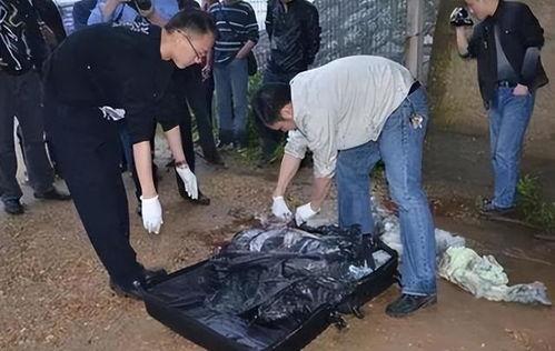 南京碎尸案爆料视频播放,视频播放揭示惊人真相 第1张 南京碎尸案爆料视频播放,视频播放揭示惊人真相 第1张